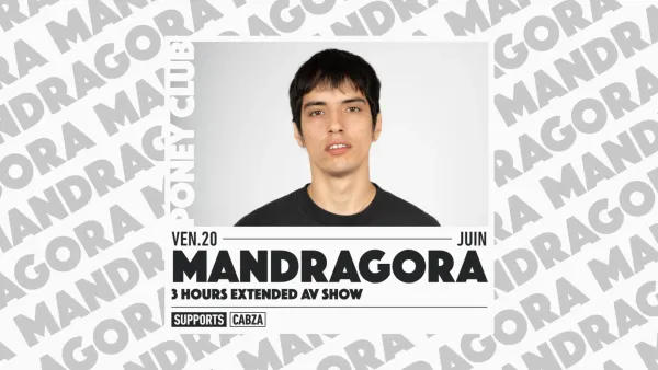 MANDRAGORA | Poney Club