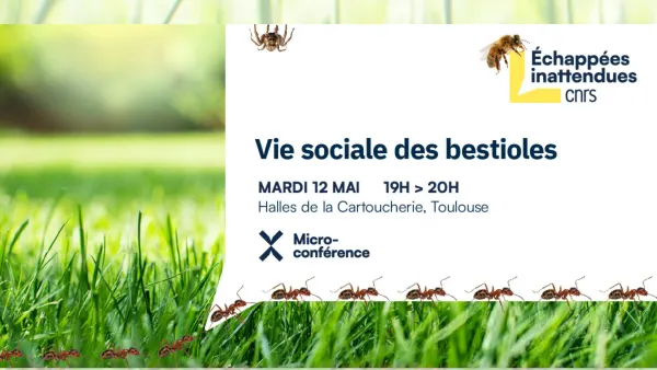 Les Echappées Inattendues : Vie sociale des bestioles | La Cabane - Nocto