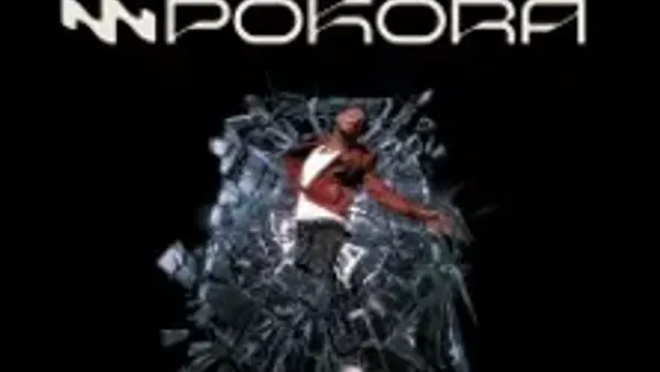 M.Pokora - Adrenaline Tour | Zenith