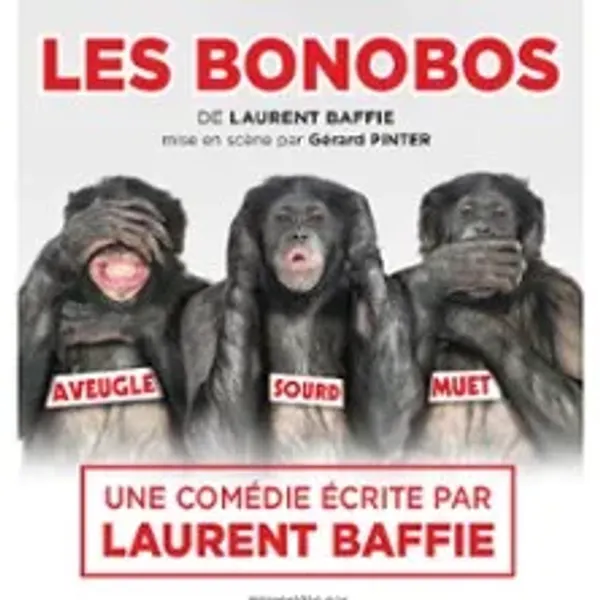 Affiche de l'événement Les Bonobos