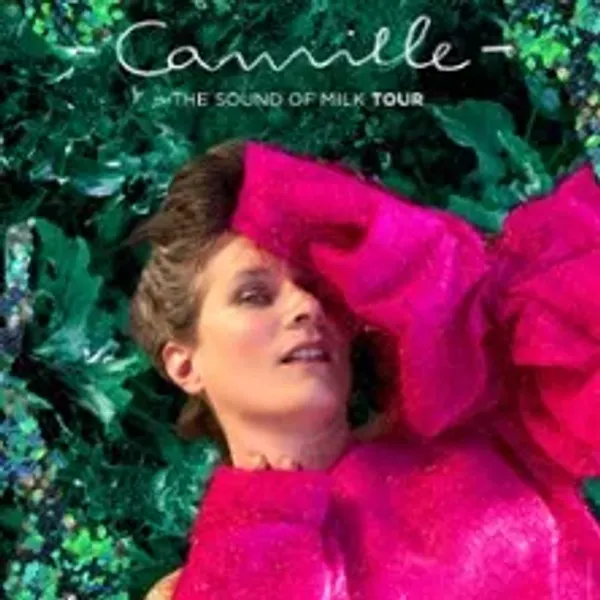 Affiche de l'événement Camille