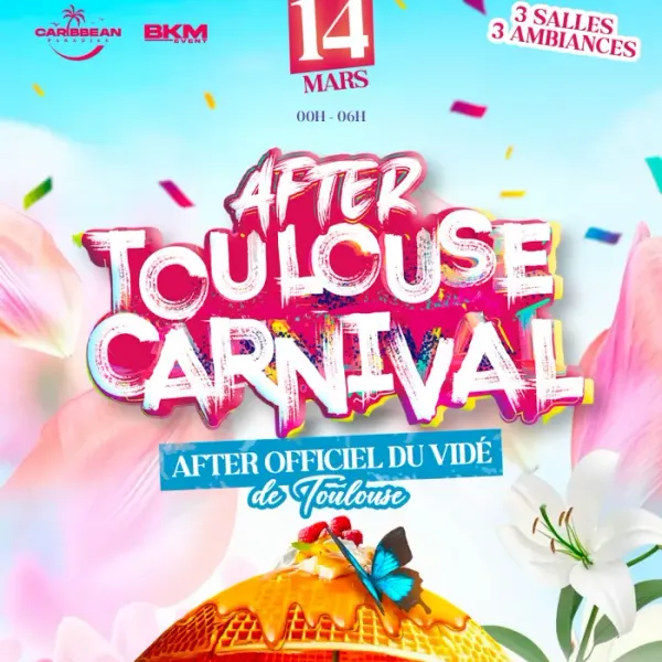 Affiche de l'événement After Toulouse Carnival