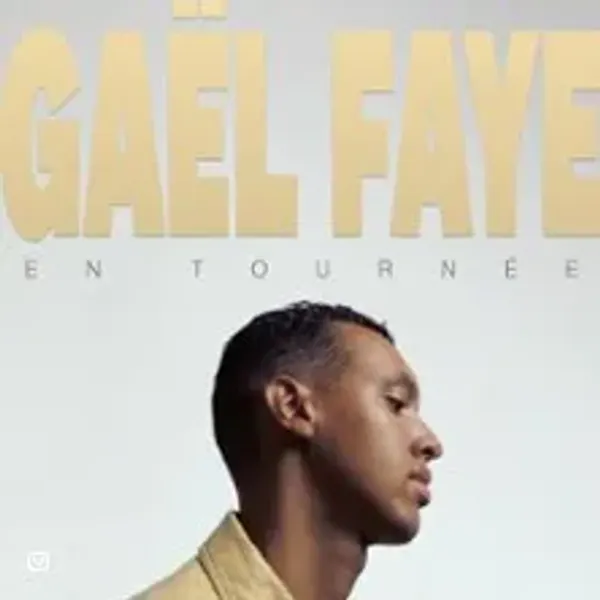 Affiche de l'événement Gaël Faye En Concert