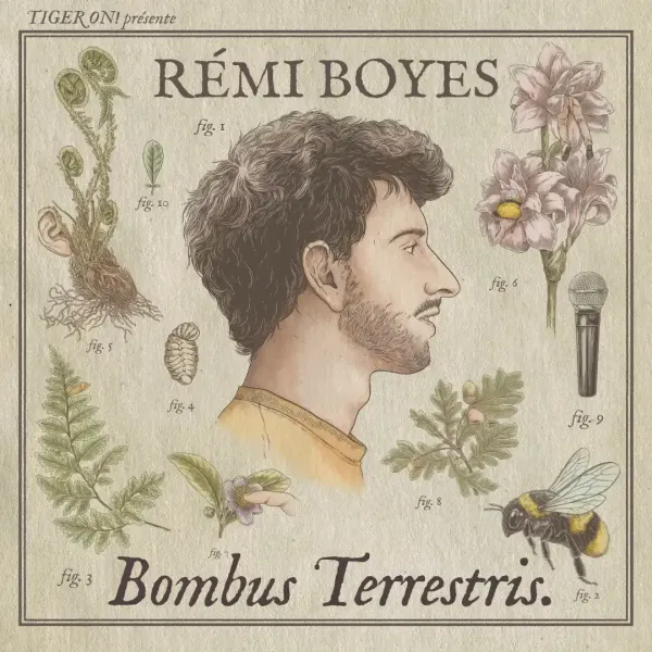 Affiche de l'événement REMI BOYES – Bombus Terrestris