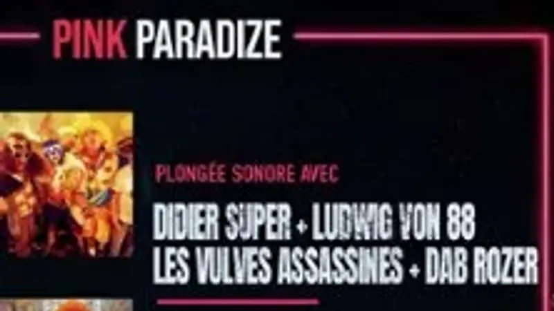 Ludwig Von 88 + Dider Super + Les Vulves Assassines + Dab Rozer