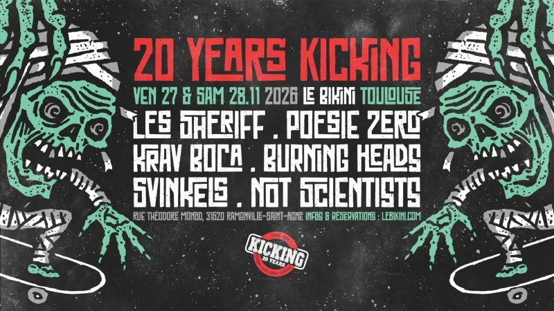 20 Years Kicking (pass 2 jours)