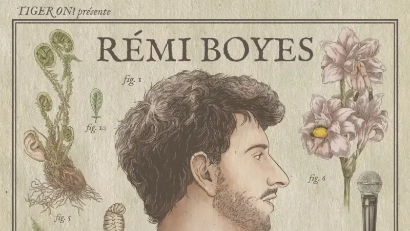 REMI BOYES – Bombus Terrestris