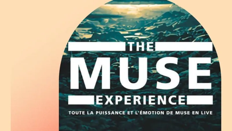 THE MUSE EXPERIENCE